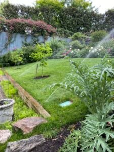 Professional copper backflow preventer installation with irrigation system and outdoor landscaping at a residential property by Advanced Irrigation & Lighting Services