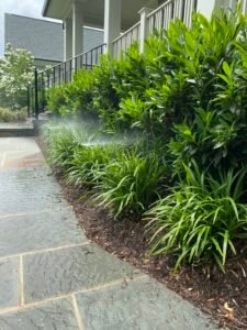 Professional copper backflow preventer installation with irrigation system and outdoor landscaping at a residential property by Advanced Irrigation & Lighting Services.