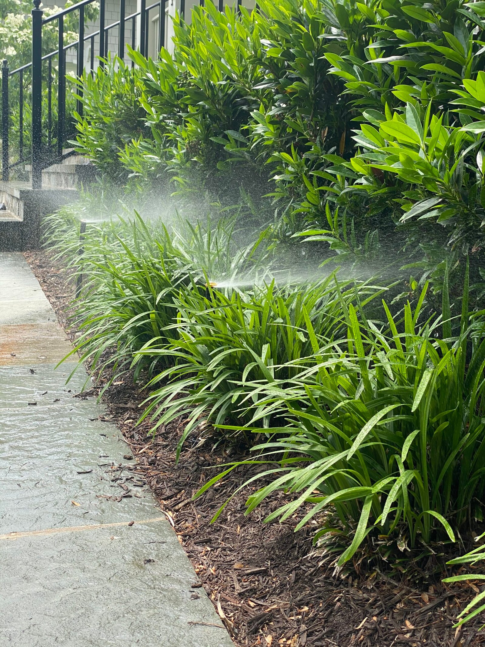 Professional copper backflow preventer installation with irrigation system and landscaped residential property by Advanced Irrigation & Lighting Services serving Northern Virginia, Washington D.C., and Montgomery County, Maryland.