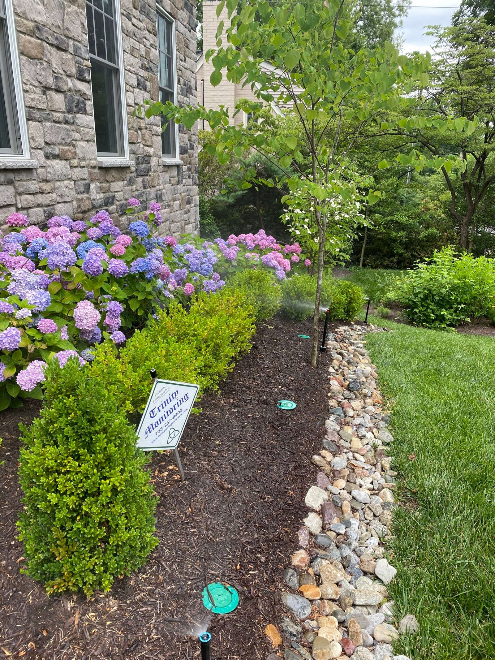 Professional copper backflow preventer installation with irrigation system and landscaped residential property by Advanced Irrigation & Lighting Services serving Northern Virginia, Washington D.C., and Montgomery County, Maryland.