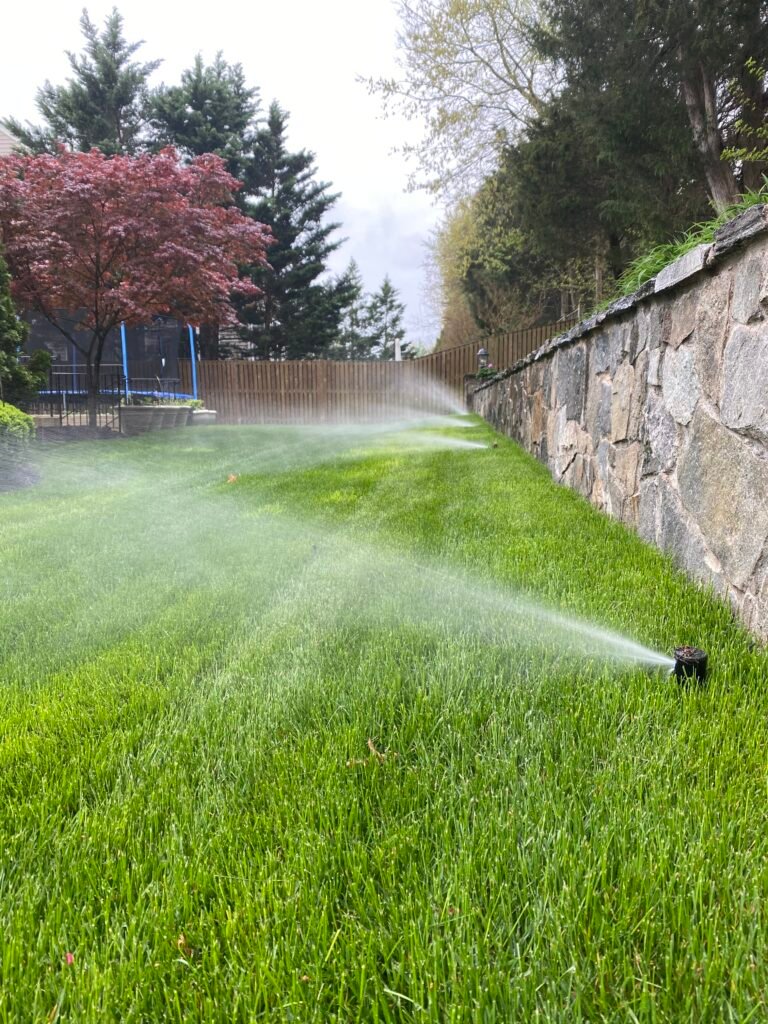 backflow testing near me