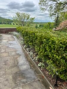 Professional irrigation services for residential and commercial properties in Northern Virginia, Washington D.C., and Montgomery County Maryland