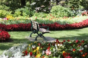 Beautiful lawn with Advanced Irrigation