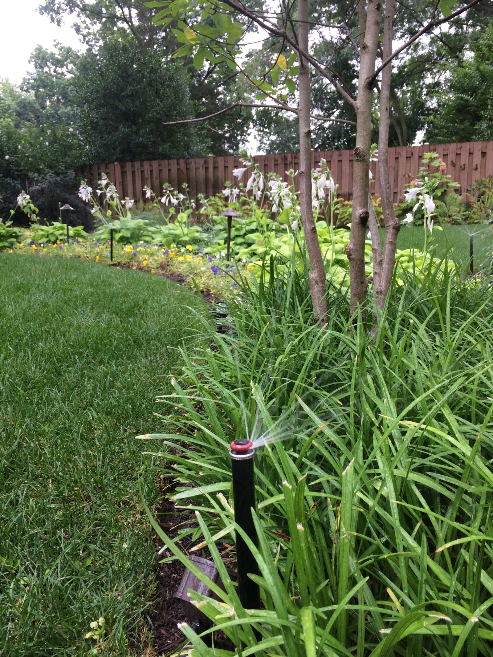 VA Professional irrigation installation in Gainesville, VA