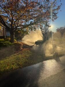 Professional Irrigation Services McLean VA