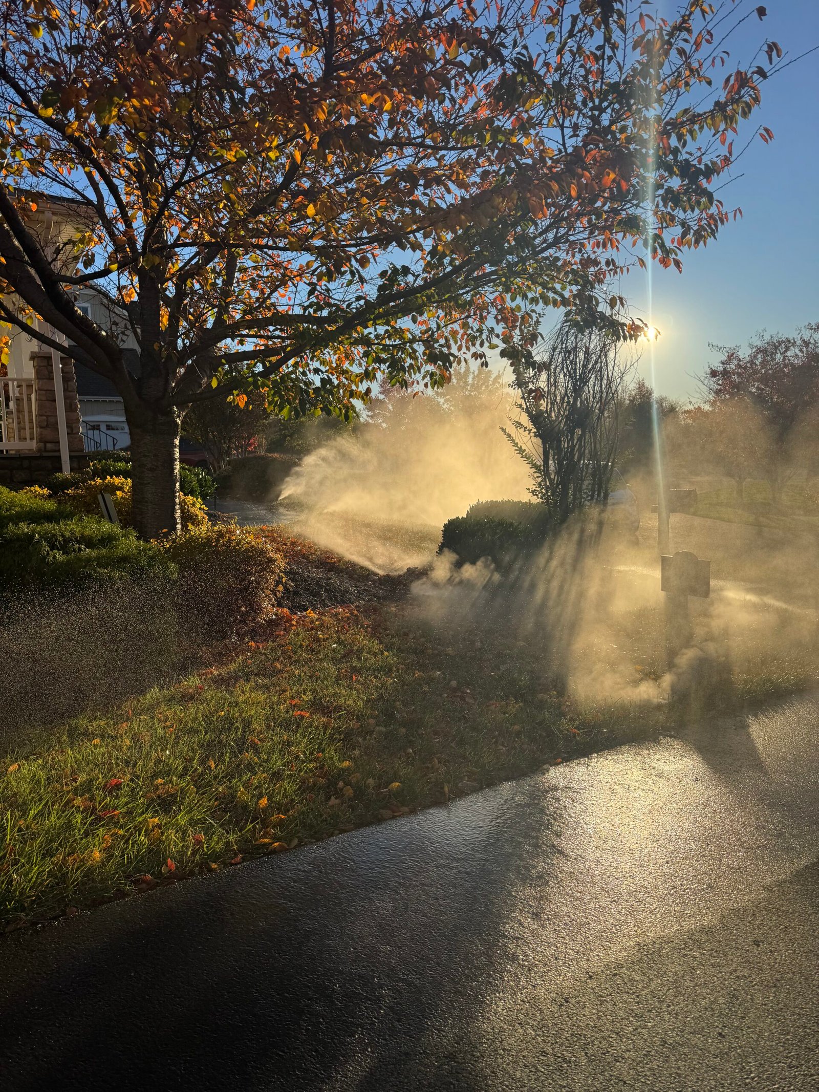 Professional Irrigation Services McLean VA