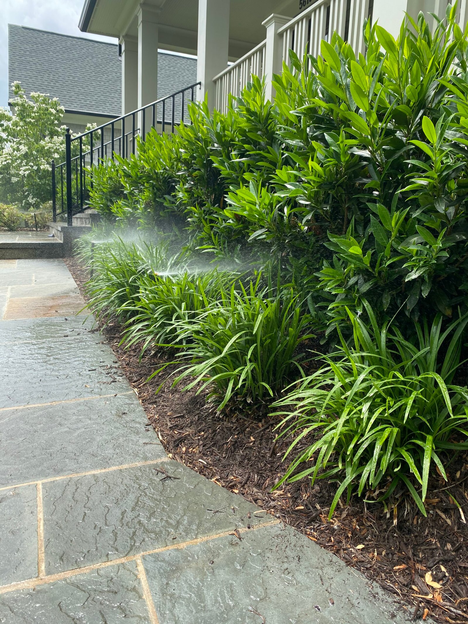 Irrigation maintenance service in Fairfax, VA