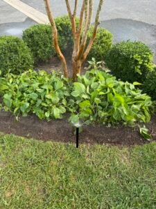 Sprinkler system installation in Northern Virginia