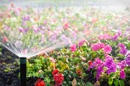 Professional irrigation system installation and sprinkler services in Northern Virginia