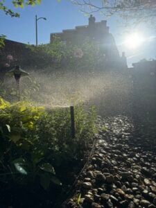 Professional sprinkler system spring start-up service in Northern Virginia