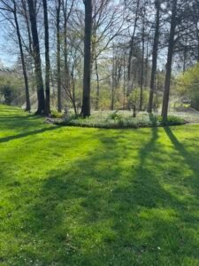 Professional sprinkler maintenance service for irrigation systems in Northern Virginia