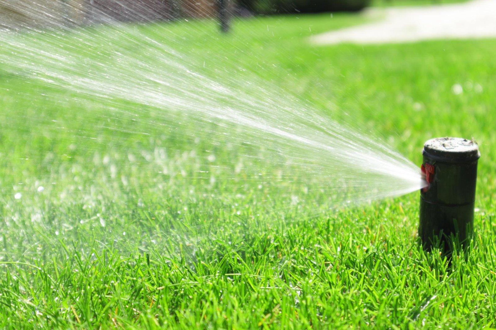 Technician repairing a residential sprinkler system to restore proper irrigation in Northern Virginia.