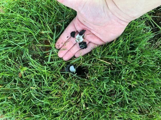 broken sprinkler nozzle broken sprinkler nozzle